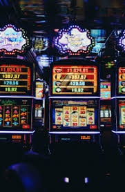 Casino Lucky Bear